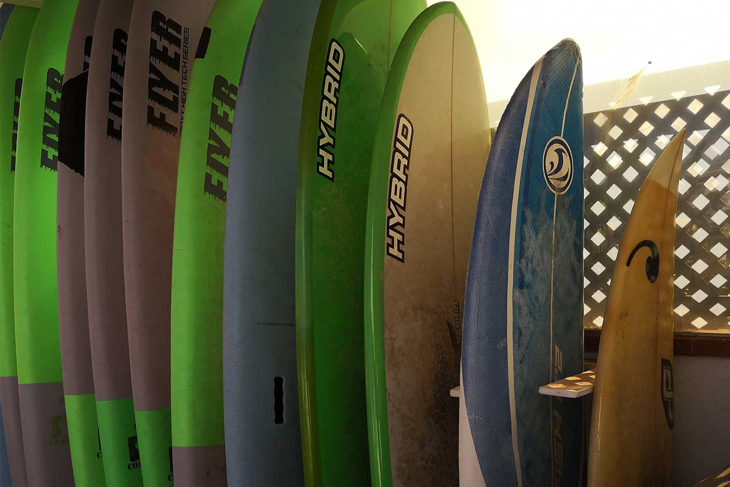 Which Board Is the Best to Learn How to Surf Key Points